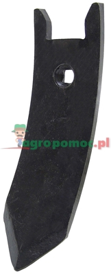 Dziób redlicy | zdjęcie nr 1